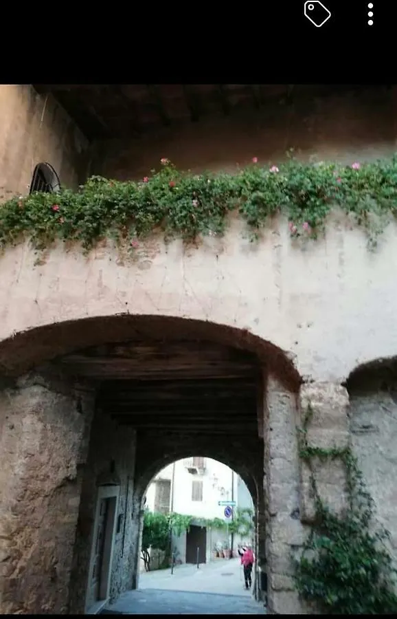 Appartamento Orchidea Montemerano