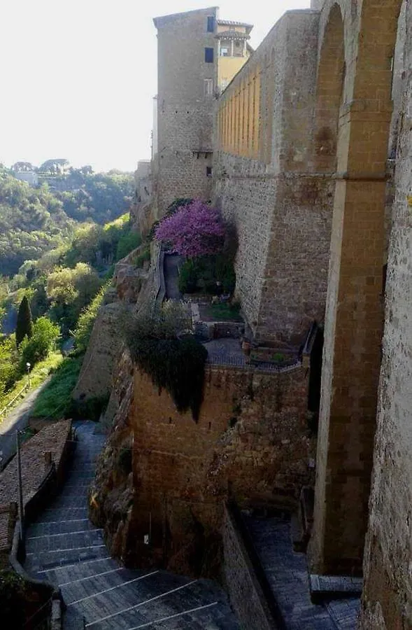 Appartamento Orchidea Montemerano 0*,